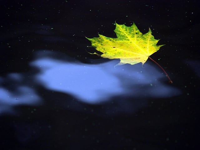 En liten oppdatering