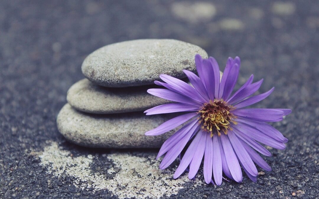 Intensivbehandling av lymfødem og lipødem del 2