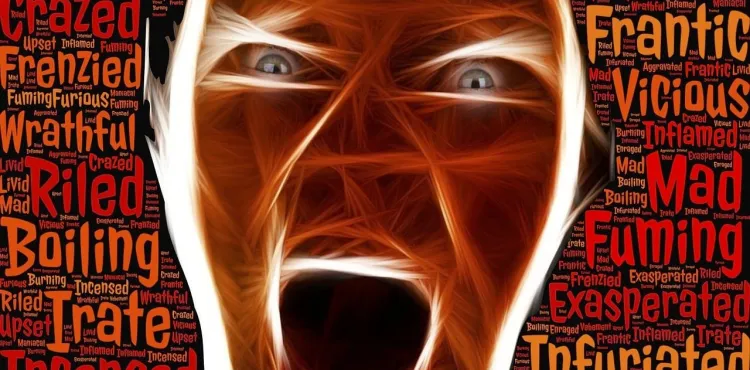 Netthets og troll lever i beste velgående