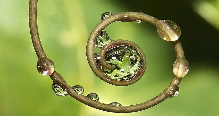 Min helt personlige sjelesang, en unik og vakker gave