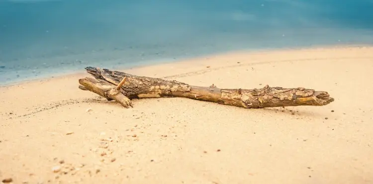 Drivved, litt inspirasjon og sånt