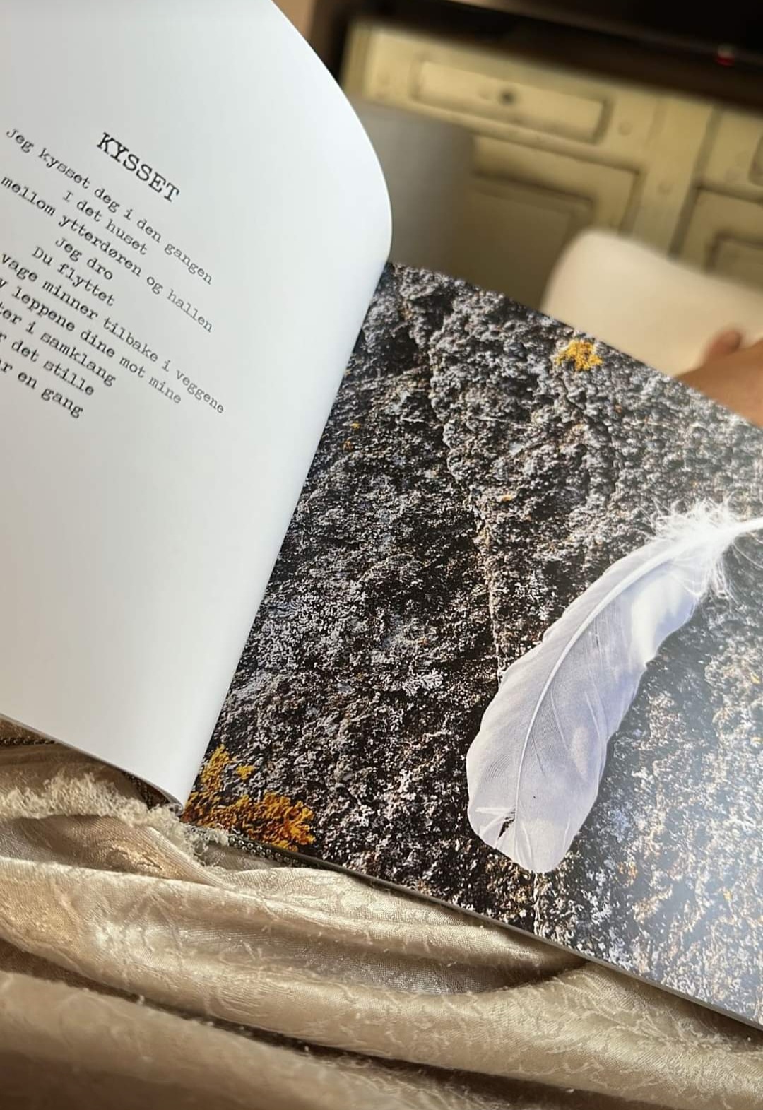 En liten teaser fra boka Stemninger