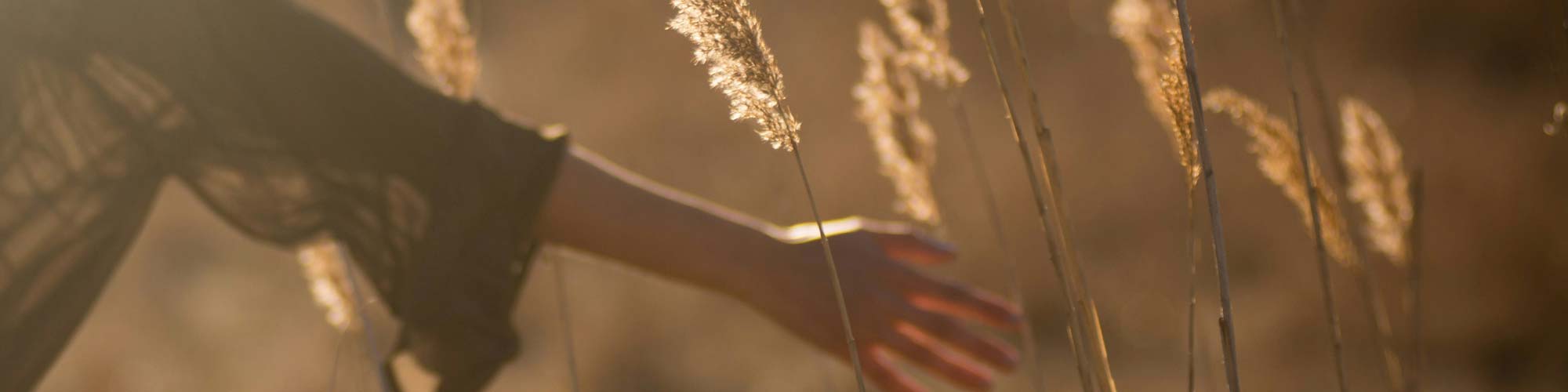 indriel26-bloggheaderimage inspirasjon